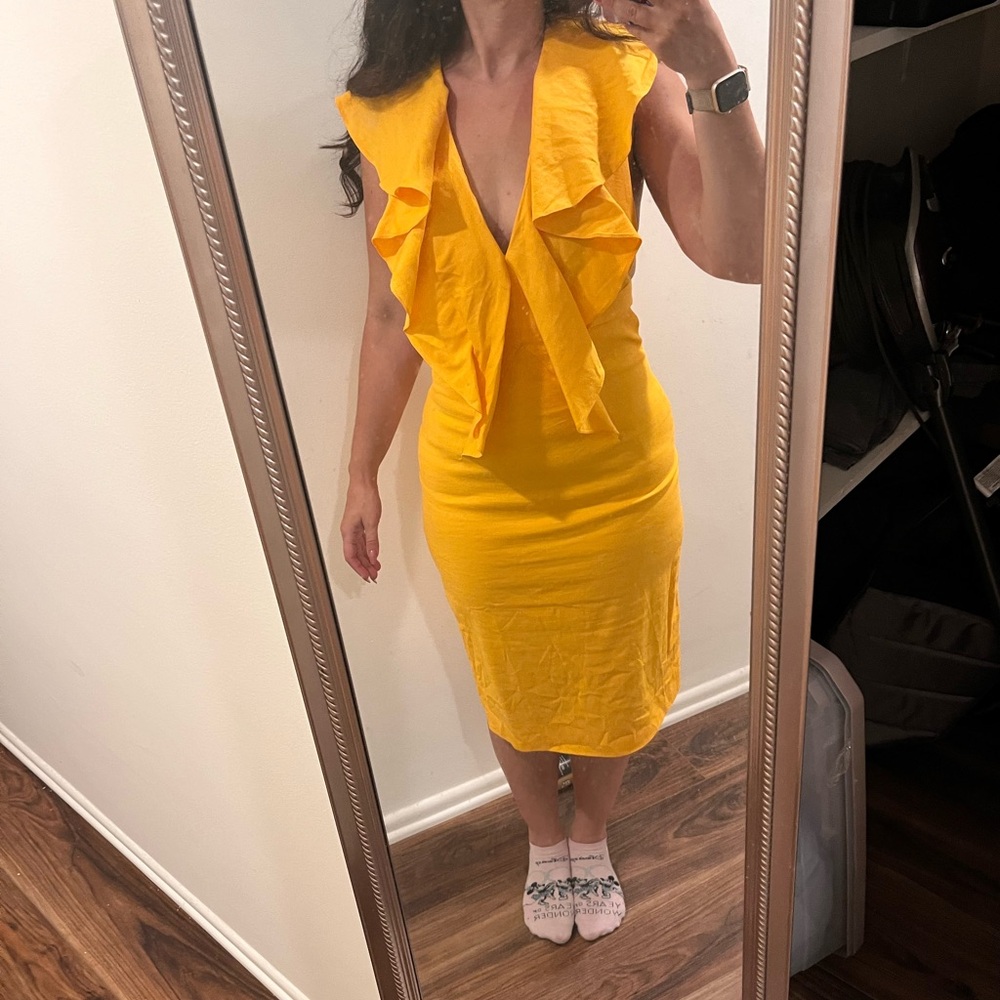 Cushnie Et Ochs marigold butterfly dress